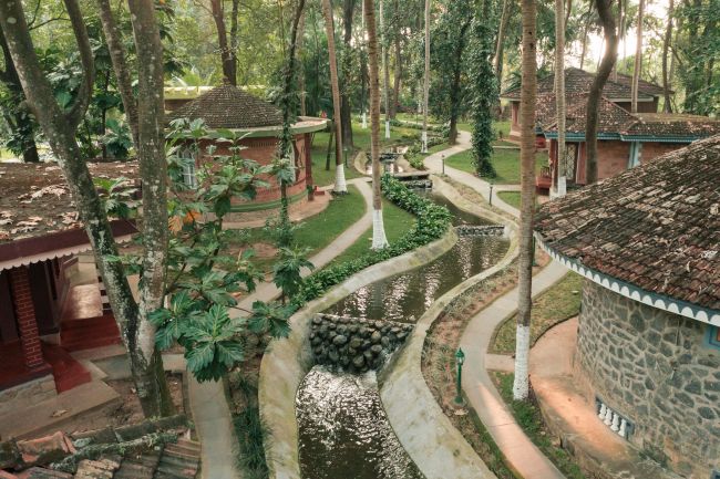 Traditional Ayurvedic Preparation