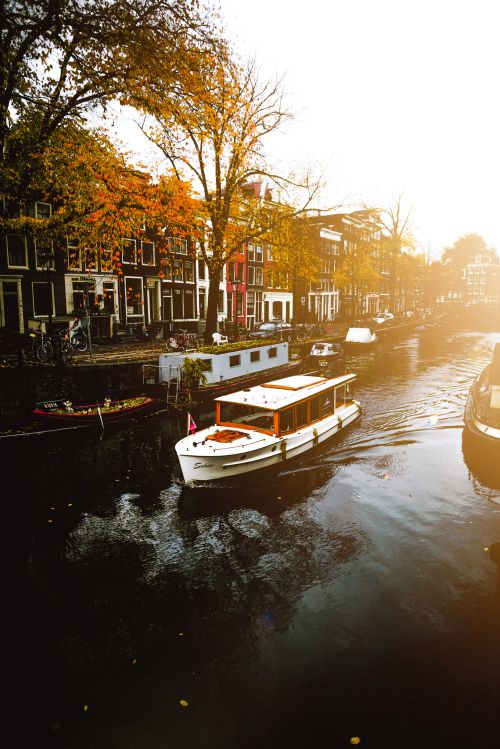 Art gallery in Amsterdam