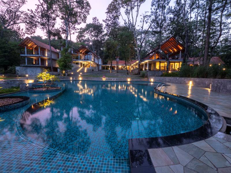 Lush coffee plantation walks in Coorg